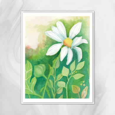 Wild Daisy Note Card