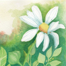 Load image into Gallery viewer, Wild Daisy Note Card